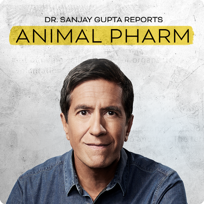 Dr. Sanjay Gupta Reports Animal Pharm 